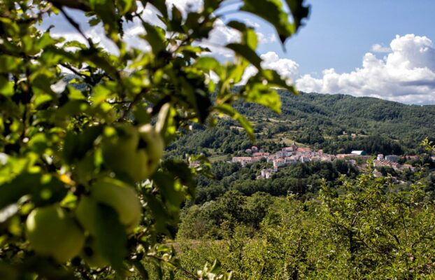 Progetto Appennino 2026: Campus ReStartApp in modalità ibrida per il secondo anno a Castel del Giudice
