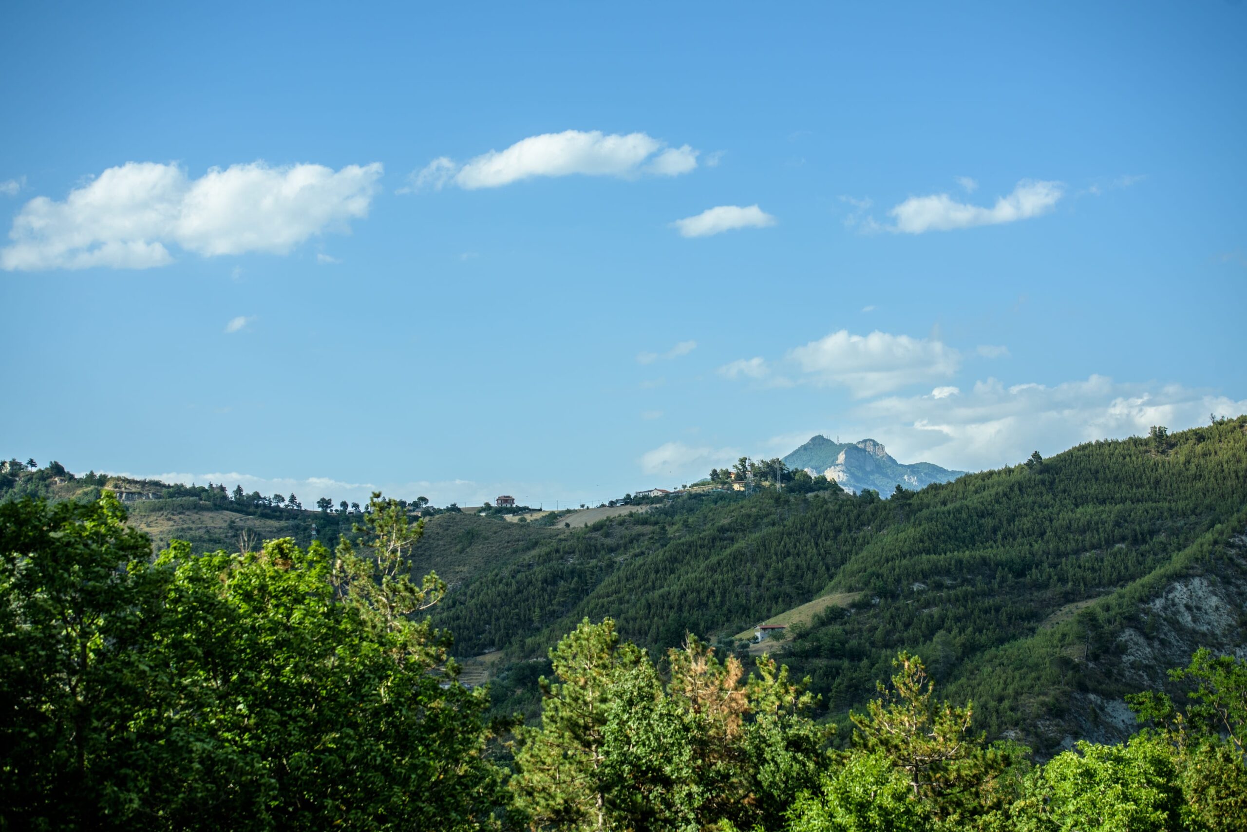Image link